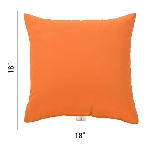 JMGBird Outdoor Pillows Set of 2 Outdoor Throw Pillows Waterproof with Insert 18×18 Inch Outdoor Pillow for Patio Furniture