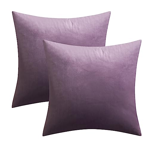 MIULEE Pack of 2 Violet Velvet Throw Pillow Covers 18x18 Inch Soft Solid Decorative Square Set Cushion Cases for Couch Sofa Bedroom