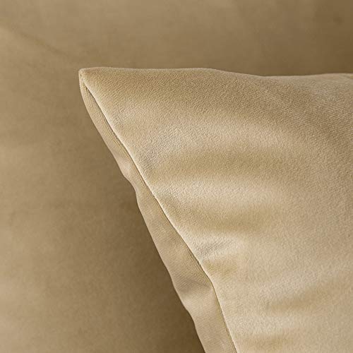 MIULEE Pack of 2, Velvet Soft Solid Decorative Square Throw Pillow Covers Set Cushion Case for Sofa Bedroom Car 18 x 18 Inch 45 x 45 Cm