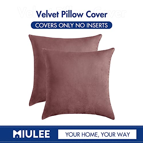 MIULEE Pack of 2 Decorative Velvet Pillow Covers Soft Square Throw Pillow Covers Solid Cushion Covers Jam Pillow Cases for Spring Sofa Bedroom Car 18x18 Inch 45x45 Cm
