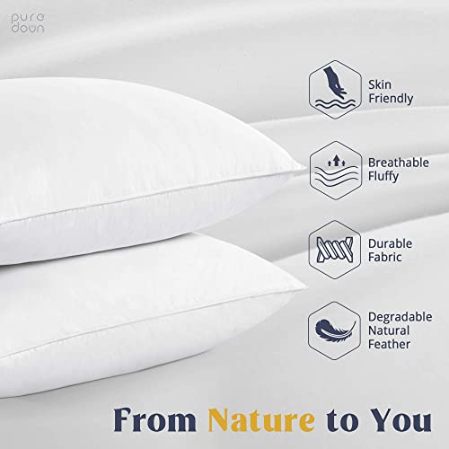 Classic White Goose Feather and Down Pillows, Set of 2 Standard Size