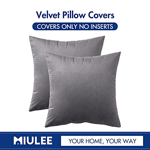 MIULEE Pack of 2 Velvet Pillow Covers Decorative Square Pillowcase Soft Solid Cushion Case for Sofa Bedroom Car 18 x 18 Inch Dark Grey