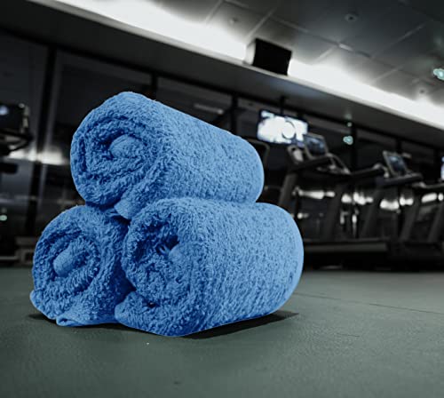 Utopia Towels 24 Pack Cotton Washcloths Set - 100% Ring Spun Cotton, Premium Quality Flannel Face Cloths, Highly Absorbent and Soft Feel Fingertip Towels (Electric Blue)
