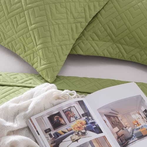EXQ Home Quilt Set Full Queen Size Apple Green 3 Piece,Lightweight Soft Coverlet Modern Style Squares Pattern Bedspread Set(1 Quilt,2 Pillow Shams)