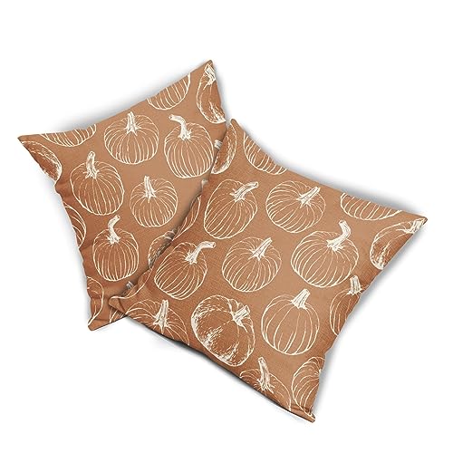 Fall Pumpkin Pillow Covers 18x18 Set of 2 Autumn Themed Thanksgiving Harvest Burnt Orange Print Decorative Throw Pillows Outdoor PillowCase Farmhouse Linen Cushion Case Decor for Home Sofa Couch Bed