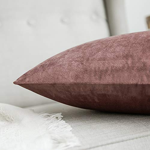 MIULEE Pack of 2 Decorative Velvet Pillow Covers Soft Square Throw Pillow Covers Solid Cushion Covers Jam Pillow Cases for Spring Sofa Bedroom Car 18x18 Inch 45x45 Cm