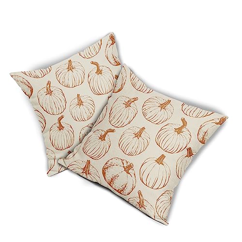 Fall Pillow Covers 18x18 Set of 2 Burnt Orange Pumpkin Autumn Thanksgiving Harvest Decorative Throw Pillows Outdoor Cushion Case Sofa Couch Bed Decor