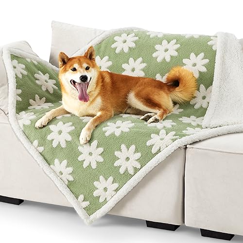 Lesure Waterproof Dog Blanket for Large Dogs - Washable Double Sided Dog Blankets with Warm Jacquard Shag and Soft Sherpa Fleece, Pet Cat Blanket for Couch Protection, 3D Textured Cloud, Green