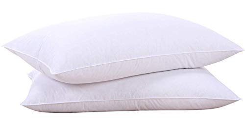 Classic White Goose Feather and Down Pillows, Set of 2 Standard Size