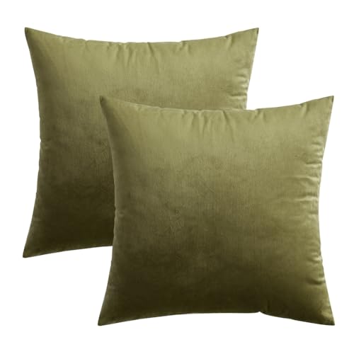 MIULEE Pack of 2 Olive Green Pillow Covers 18x18 Inch Decorative Velvet Throw Pillow Covers Modern Soft Couch Throw Pillows Farmhouse Home Decor for Spring Sofa Bedroom Living Room