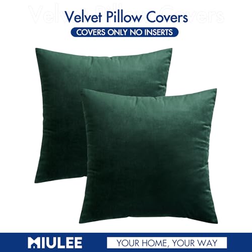 MIULEE Pack of 2 Velvet Soft Solid Decorative Square Throw Pillow Covers Set Cushion Case for Spring Sofa Bedroom Couch Car 18x18 Inch 45x45 cm