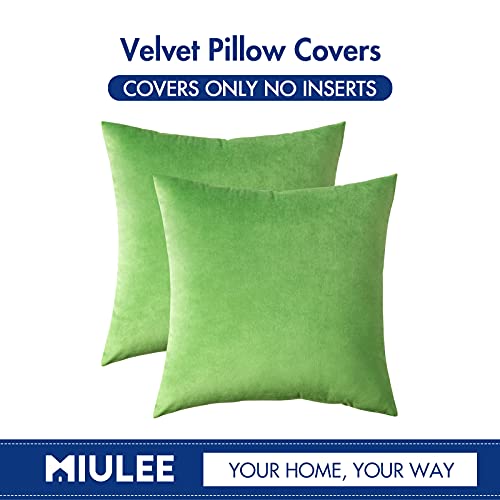 MIULEE Pack of 2 Velvet Pillow Covers Decorative Square Pillowcase Soft Solid Cushion Case for Spring Sofa Bedroom Car 18x18 Inch Lime Green
