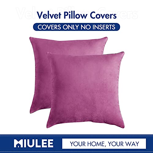 MIULEE Pack of 2, Velvet Soft Solid Decorative Square Throw Pillow Covers Set Cushion Case for Spring Sofa Bedroom Car 18x18 Inch 45x45 Cm Hot Pink