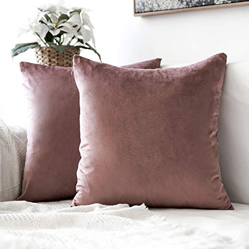 MIULEE Pack of 2 Decorative Velvet Pillow Covers Soft Square Throw Pillow Covers Solid Cushion Covers Jam Pillow Cases for Spring Sofa Bedroom Car 18x18 Inch 45x45 Cm