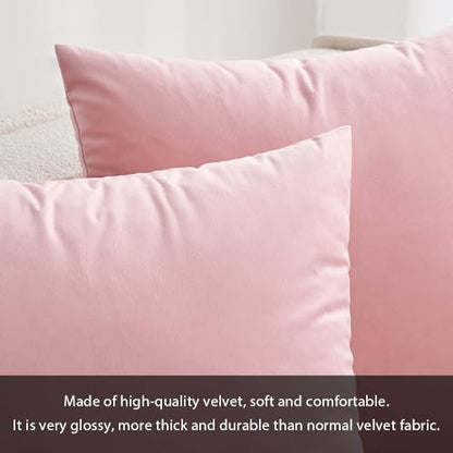 MIULEE Pack of 2 Decorative Velvet Pillow Covers Soft Square Throw Pillow Covers Solid Cushion Covers Bright Pink Pillow Cases for Spring Sofa Bedroom Car 18x18 Inch 45x45 Cm