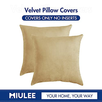 MIULEE Pack of 2, Velvet Soft Solid Decorative Square Throw Pillow Covers Set Cushion Case for Sofa Bedroom Car 18 x 18 Inch 45 x 45 Cm