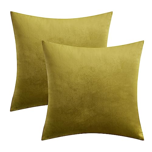 MIULEE Pack of 2 Olive Velvet Throw Pillow Covers 18x18 Inch Soft Solid Decorative Square Set Cushion Cases for Spring Couch Sofa Bedroom