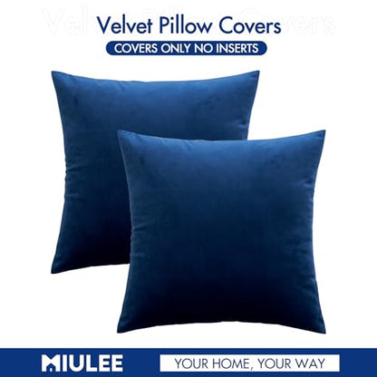 MIULEE Pack of 2, Velvet Soft Solid Decorative Square Throw Pillow Covers Set Cushion Case for Spring Sofa Bedroom Car 18x18 Inch 45x45 Cm