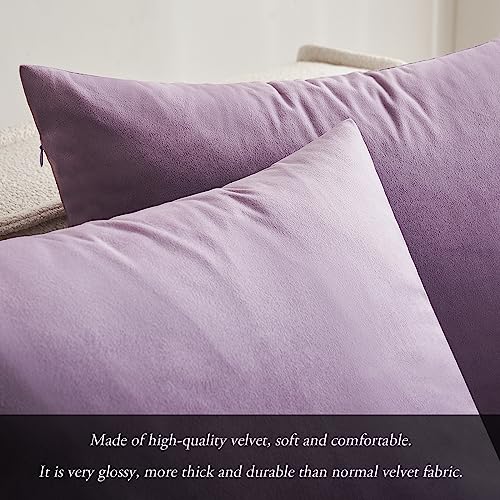 MIULEE Pack of 2 Violet Velvet Throw Pillow Covers 18x18 Inch Soft Solid Decorative Square Set Cushion Cases for Couch Sofa Bedroom