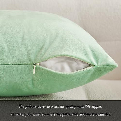 MIULEE Pack of 2 Pale Green Velvet Throw Pillow Covers 18x18 Inch Soft Solid Decorative Square Set Cushion Cases for Spring Couch Sofa Bedroom