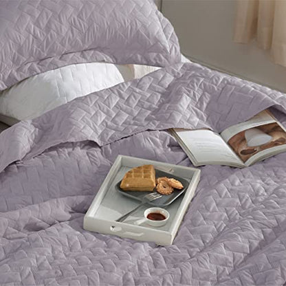 Bedsure Queen Quilt Bedding Set - Lightweight Summer Quilt Full/Queen - Raindrops Purple Bedspread Queen Size - Bedding Coverlet for All Seasons (Includes 1 Quilt, 2 Pillow Shams)