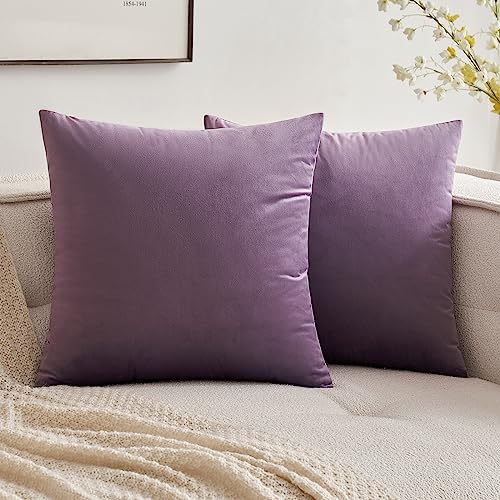 MIULEE Pack of 2 Violet Velvet Throw Pillow Covers 18x18 Inch Soft Solid Decorative Square Set Cushion Cases for Couch Sofa Bedroom