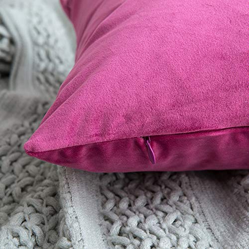 MIULEE Pack of 2, Velvet Soft Solid Decorative Square Throw Pillow Covers Set Cushion Case for Spring Sofa Bedroom Car 18x18 Inch 45x45 Cm Hot Pink