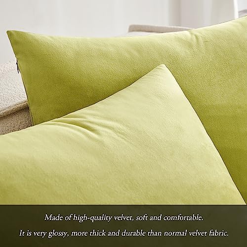 MIULEE Pack of 2 Chartreuse Green Velvet Throw Pillow Covers 18x18 Inch Soft Solid Decorative Square Set Cushion Cases for Spring Couch Sofa Bedroom