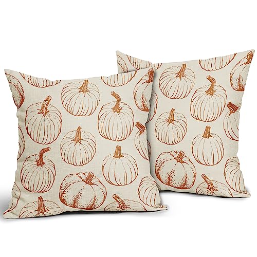 Fall Pillow Covers 18x18 Set of 2 Burnt Orange Pumpkin Autumn Thanksgiving Harvest Decorative Throw Pillows Outdoor Cushion Case Sofa Couch Bed Decor