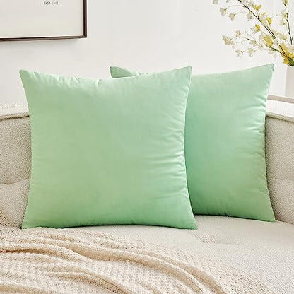 MIULEE Pack of 2 Pale Green Velvet Throw Pillow Covers 18x18 Inch Soft Solid Decorative Square Set Cushion Cases for Spring Couch Sofa Bedroom