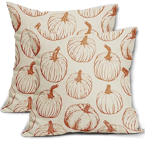 Fall Pillow Covers 18x18 Set of 2 Burnt Orange Pumpkin Autumn Thanksgiving Harvest Decorative Throw Pillows Outdoor Cushion Case Sofa Couch Bed Decor