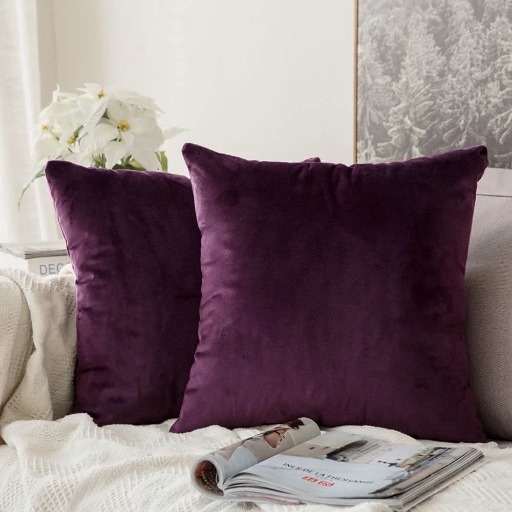 MIULEE Pack of 2, Velvet Soft Solid Decorative Square Throw Pillow Covers Set Cushion Cases Pillowcases for Sofa Bedroom Car18 x 18 Inch 45 x 45 Cm