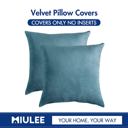 MIULEE Pack of 2, Velvet Soft Solid Decorative Square Throw Pillow Covers Set Cushion Cases Pillowcases for Spring Sofa Bedroom Car18x18 Inch 45x45 Cm