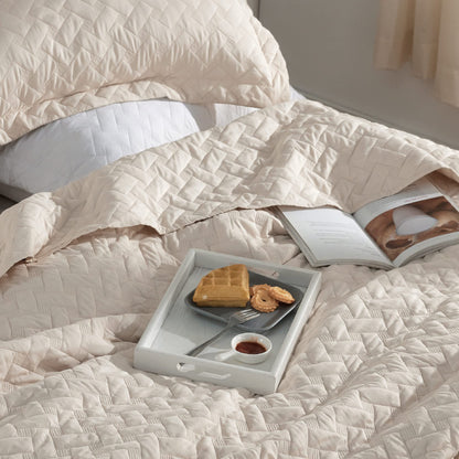 Bedsure Queen Quilt Bedding Set - Lightweight Summer Quilt Full/Queen - Beige Bedspreads Queen Size - Bedding Coverlets for All Seasons (Includes 1 Quilt, 2 Pillow Shams)